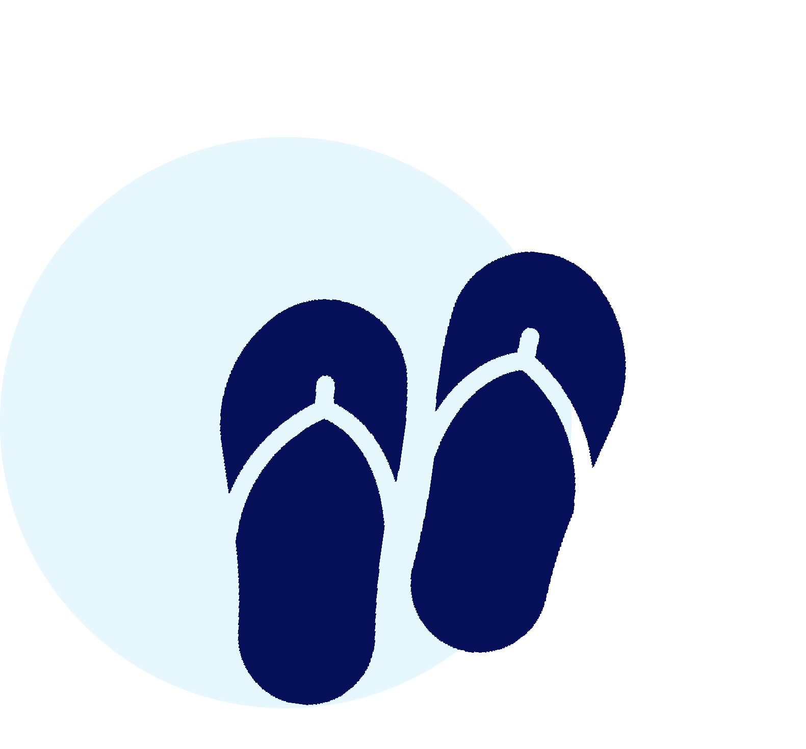 flip flops.png